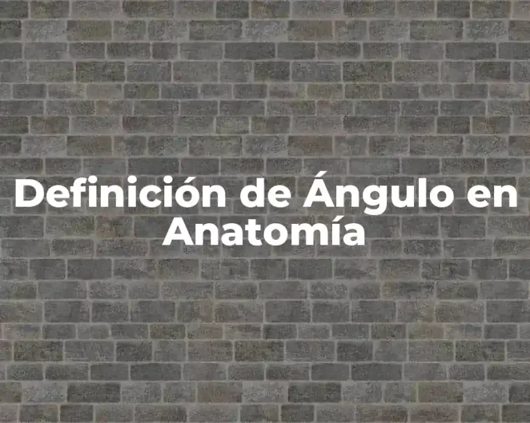Definición de Ángulo en Anatomía