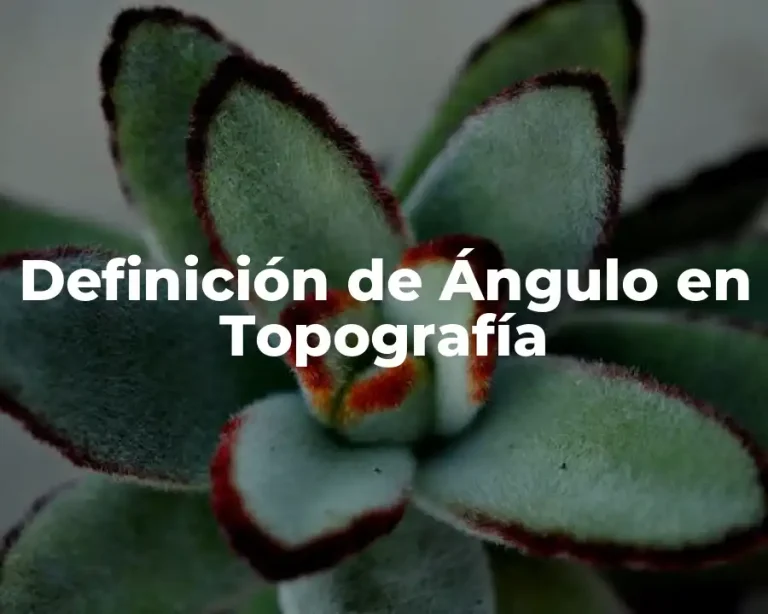Definición de Ángulo en Topografía