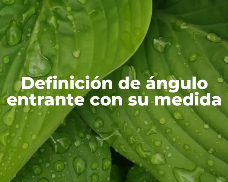 Definición de ángulo entrante con su medida