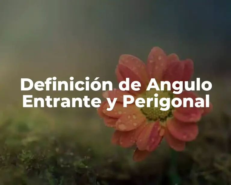 Definición de Angulo Entrante y Perigonal