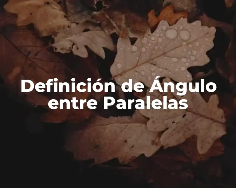 Definición de Ángulo entre Paralelas