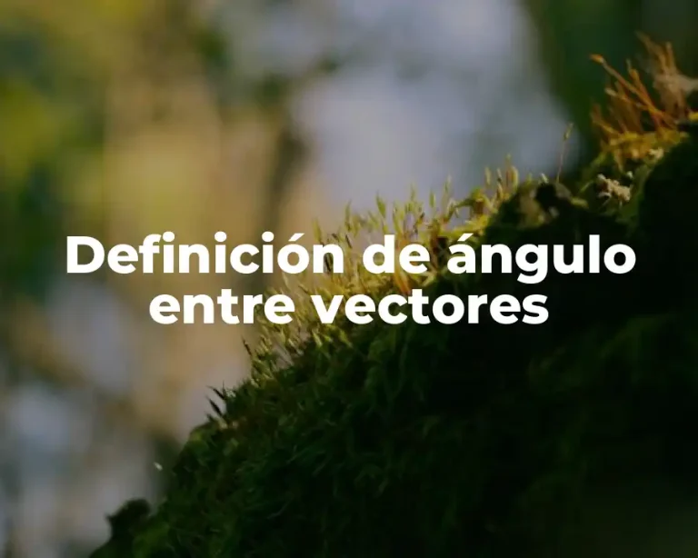 Definición de ángulo entre vectores