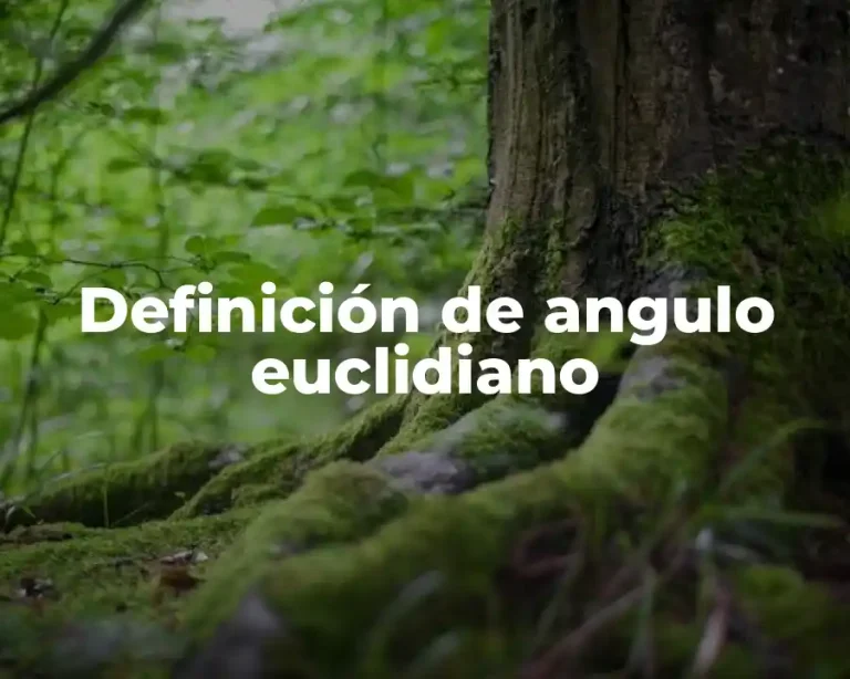 Definición de angulo euclidiano