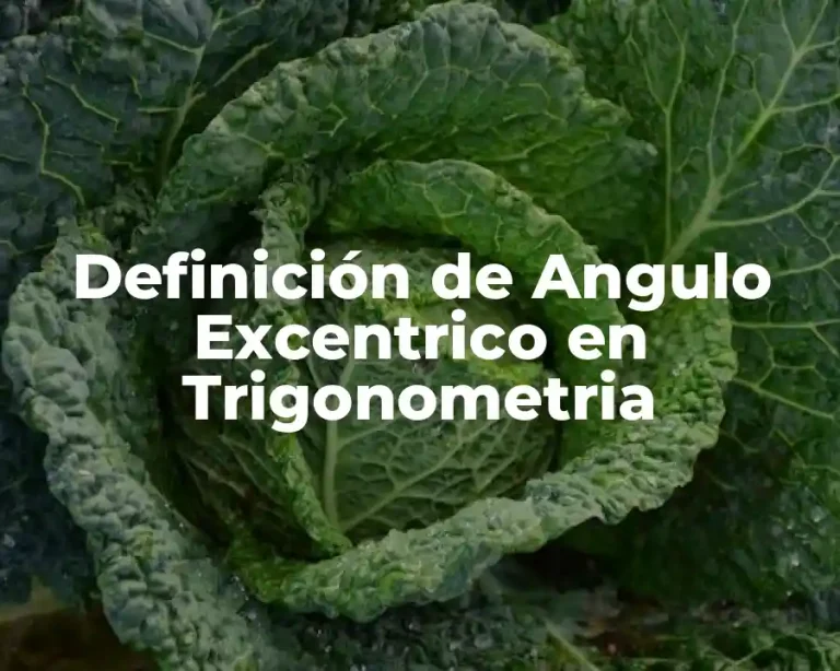 Definición de Angulo Excentrico en Trigonometria