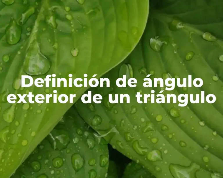 Definición de ángulo exterior de un triángulo