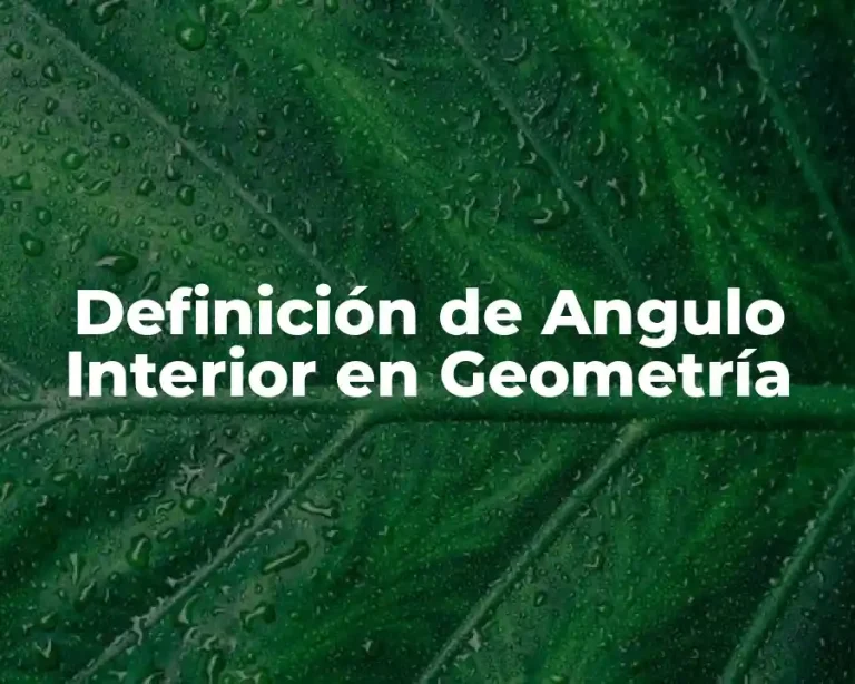 Definición de Angulo Interior en Geometría