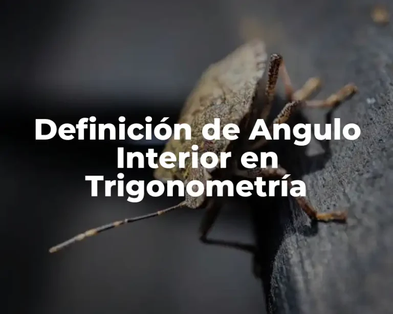 Definición de Angulo Interior en Trigonometría
