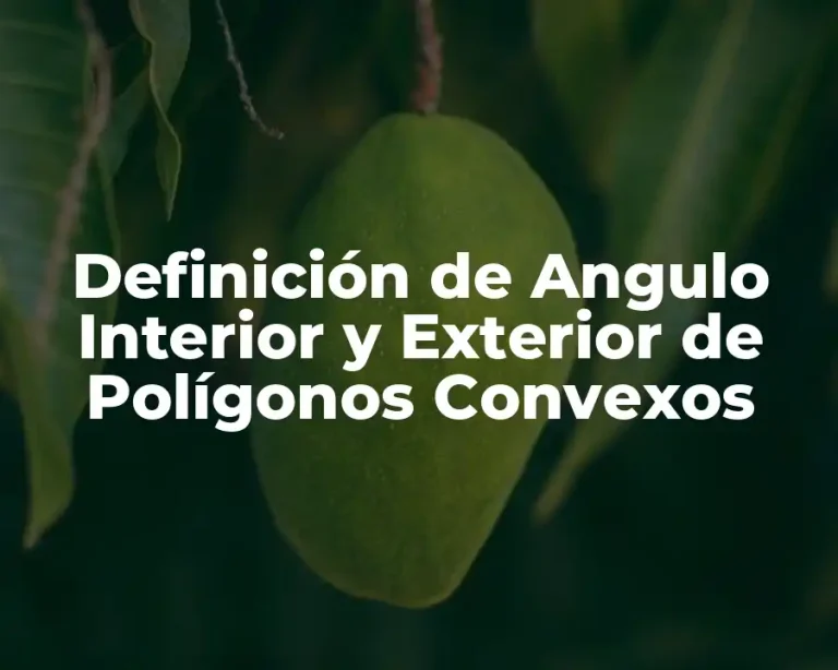Definición de Angulo Interior y Exterior de Polígonos Convexos