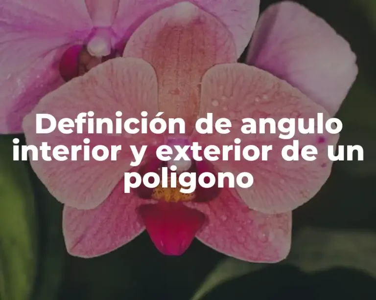 Definición de angulo interior y exterior de un poligono