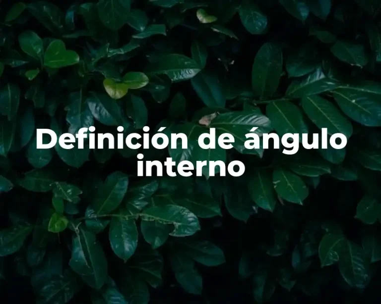 Definición de ángulo interno