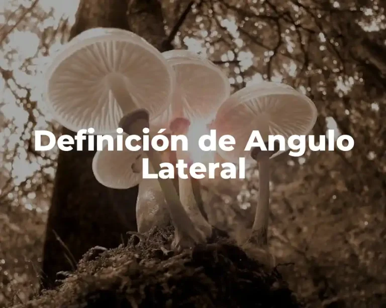 Definición de Angulo Lateral