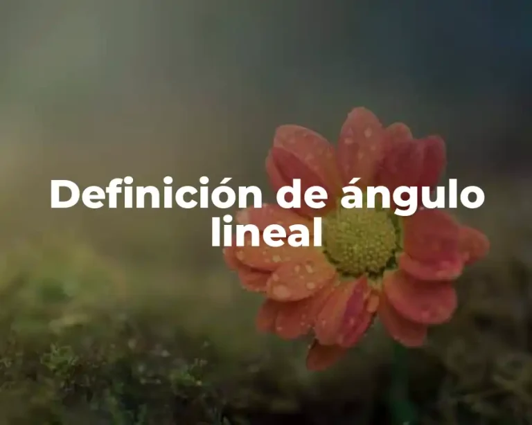 Definición de ángulo lineal