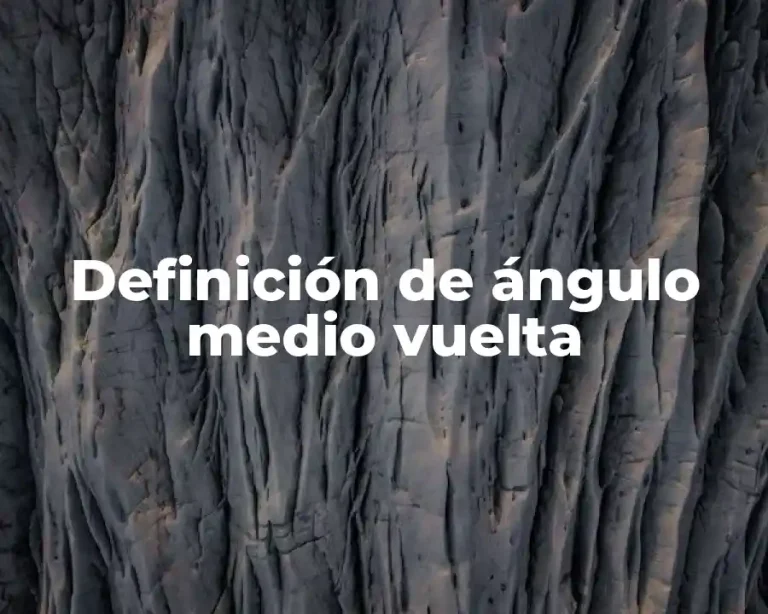 Definición de ángulo medio vuelta