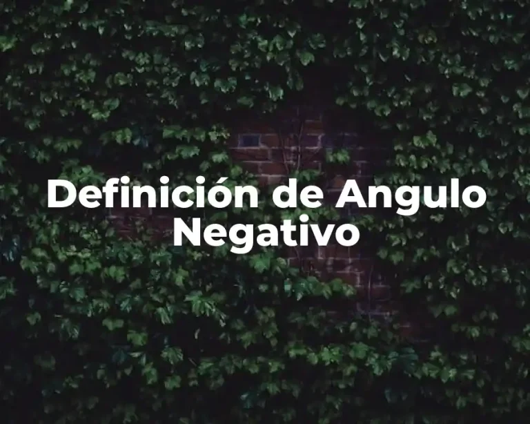 Definición de Angulo Negativo