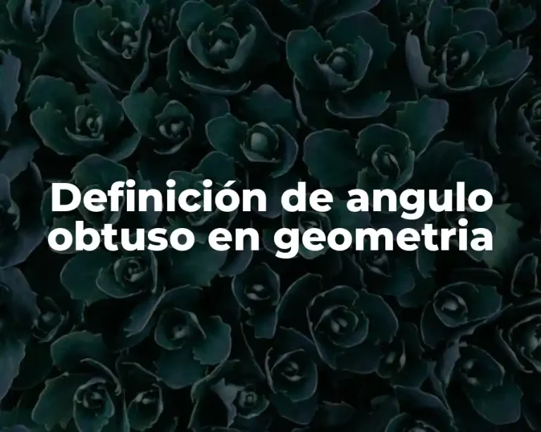 Definición de angulo obtuso en geometria