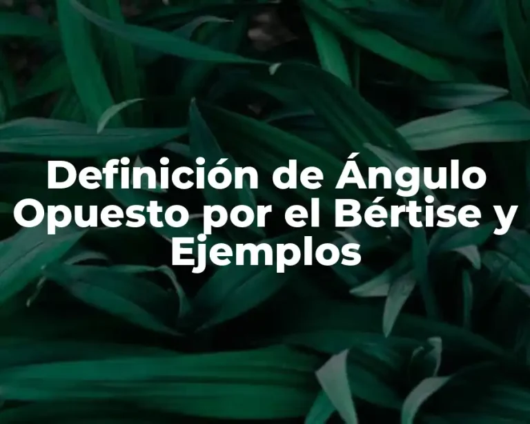 Definición de Ángulo Opuesto por el Bértise y Ejemplos