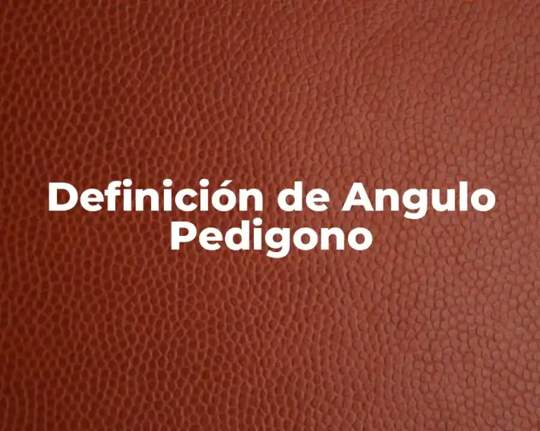 Definición de Angulo Pedigono