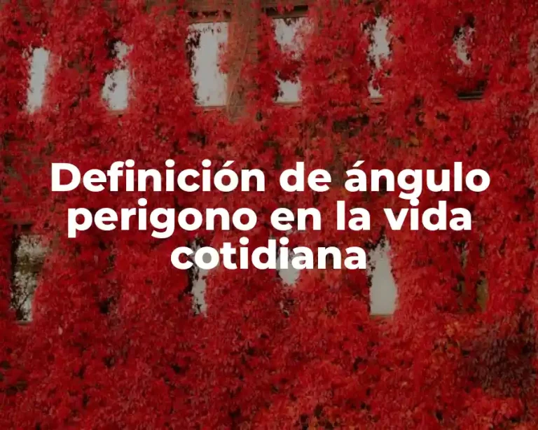 Definición de ángulo perigono en la vida cotidiana