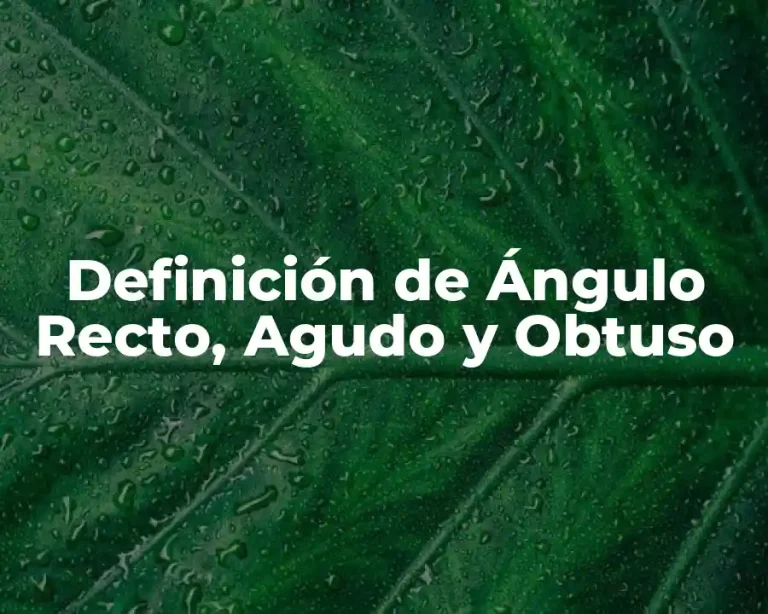 Definición de Ángulo Recto, Agudo y Obtuso