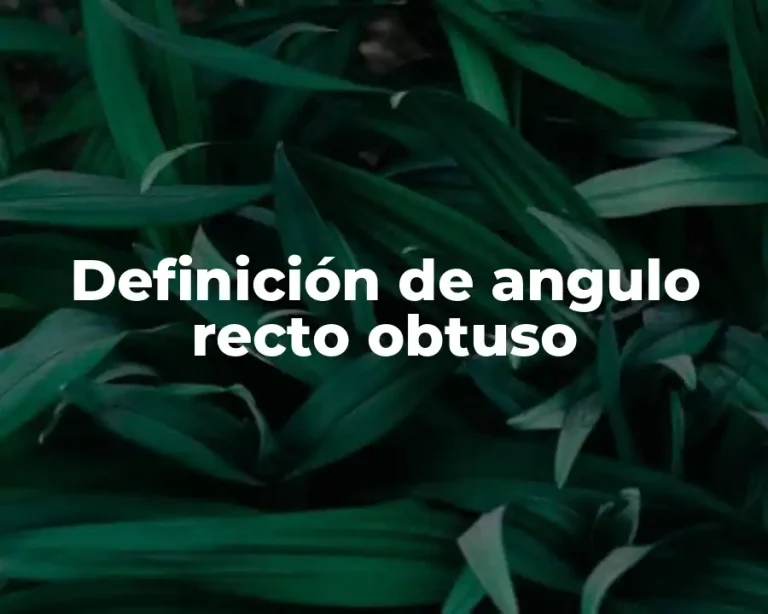 Definición de angulo recto obtuso