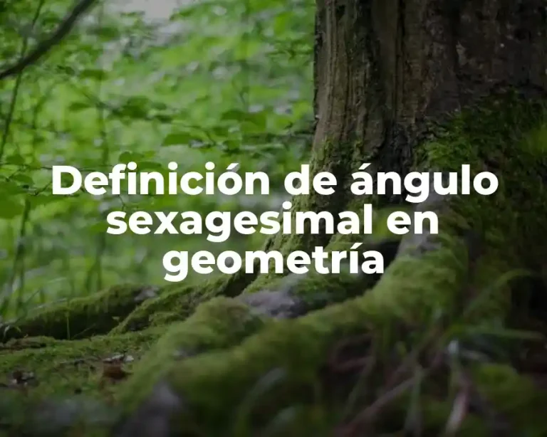 Definición de ángulo sexagesimal en geometría