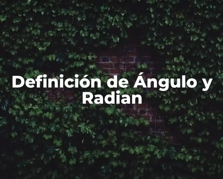 Definición de Ángulo y Radian