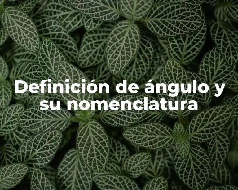 Definición de ángulo y su nomenclatura