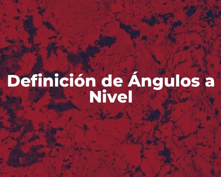 Definición de Ángulos a Nivel