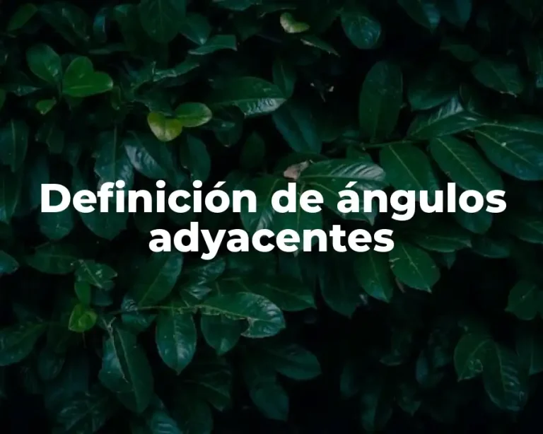 Definición de ángulos adyacentes