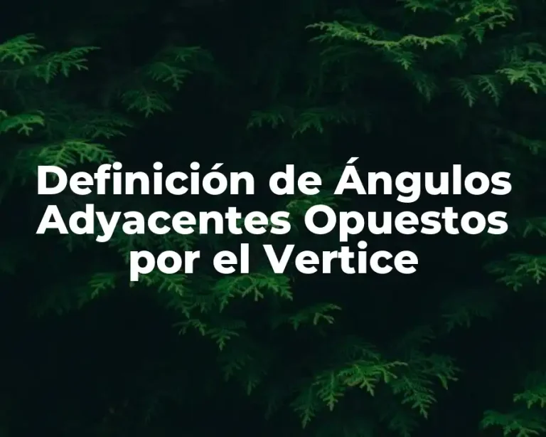 Definición de Ángulos Adyacentes Opuestos por el Vertice