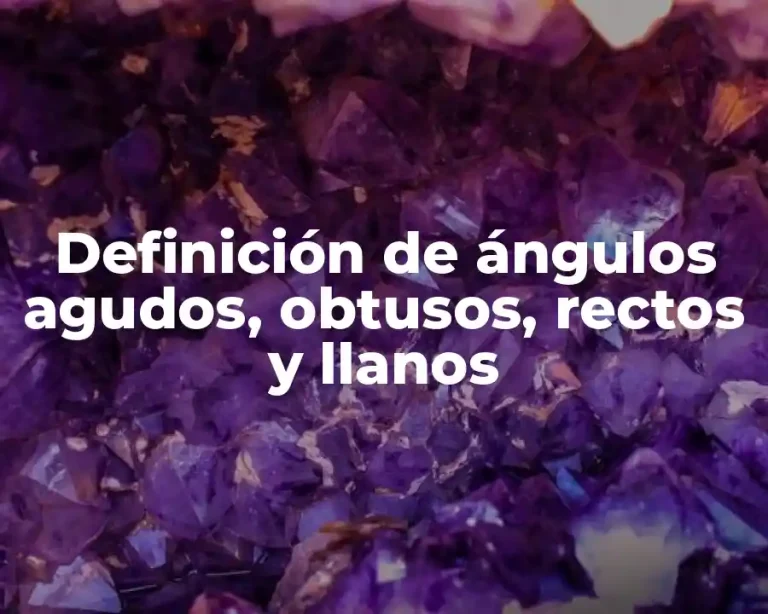 Definición de ángulos agudos, obtusos, rectos y llanos