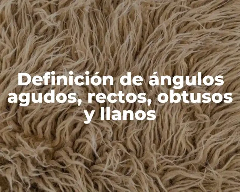 Definición de ángulos agudos, rectos, obtusos y llanos