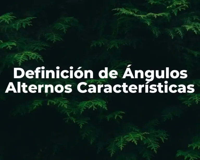Definición de Ángulos Alternos Características