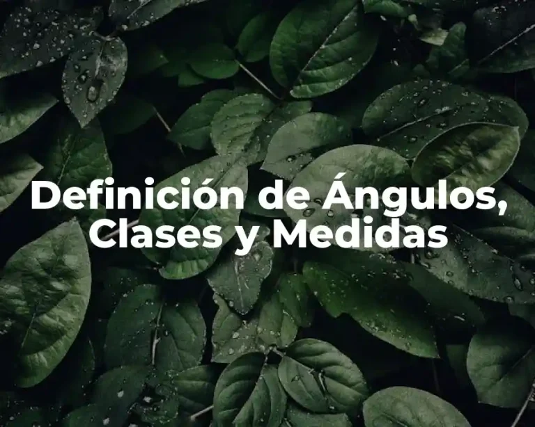 Definición de Ángulos, Clases y Medidas