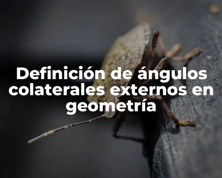 Definición de ángulos colaterales externos en geometría