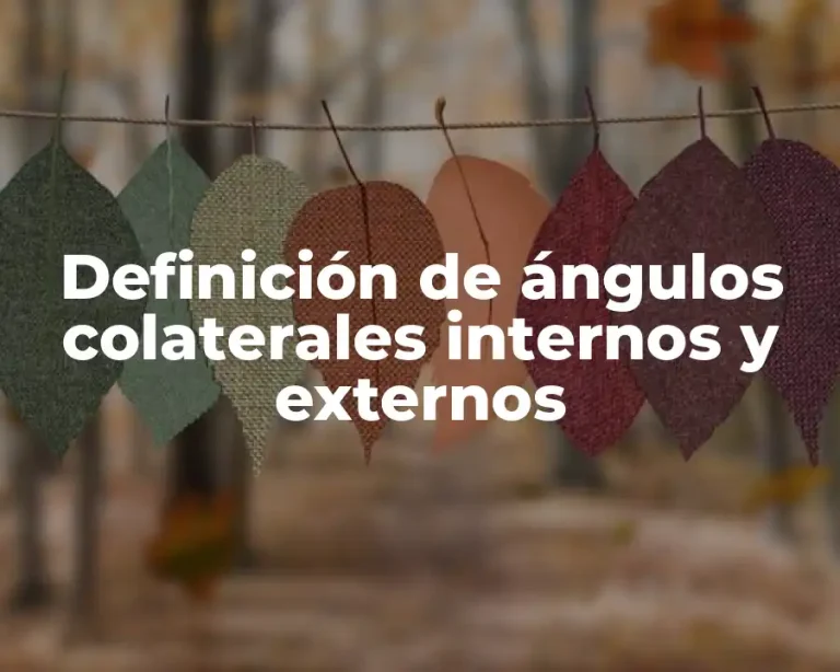Definición de ángulos colaterales internos y externos