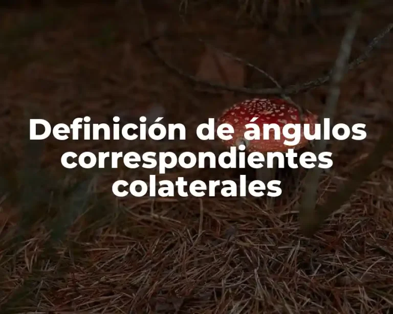 Definición de ángulos correspondientes colaterales