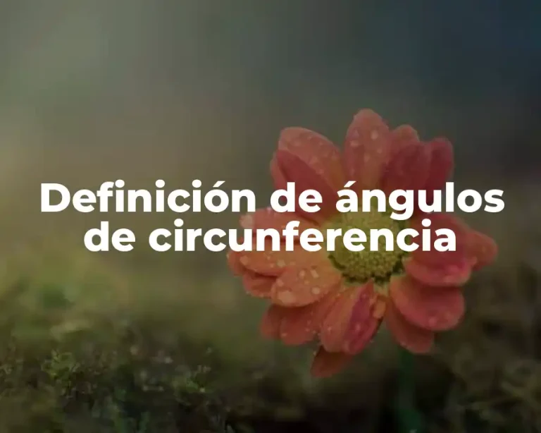 Definición de ángulos de circunferencia