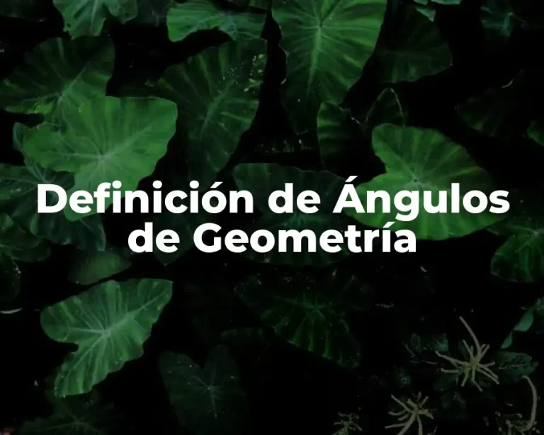 Definición de Ángulos de Geometría
