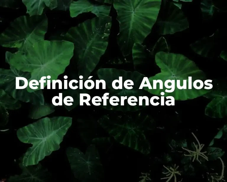 Definición de Angulos de Referencia