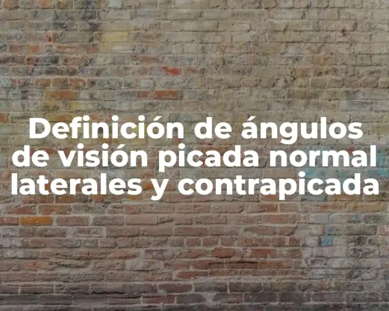 Definición de ángulos de visión picada normal laterales y contrapicada