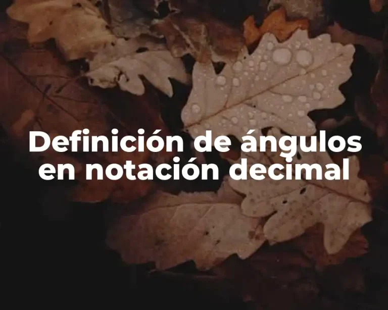 Definición de ángulos en notación decimal