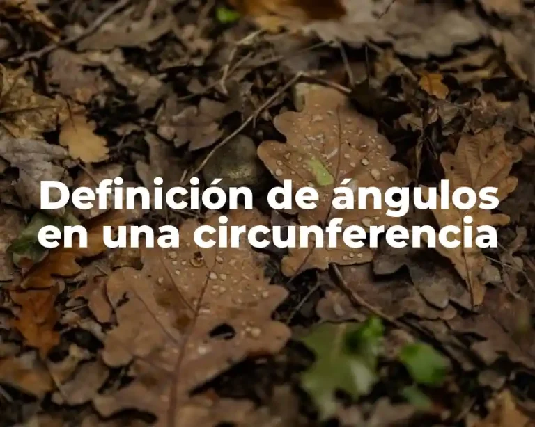 Definición de ángulos en una circunferencia