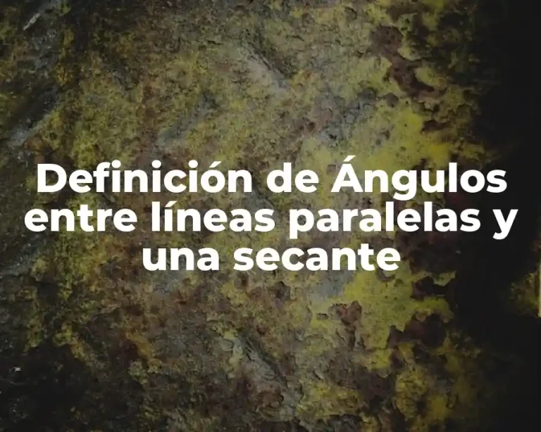Definición de Ángulos entre líneas paralelas y una secante