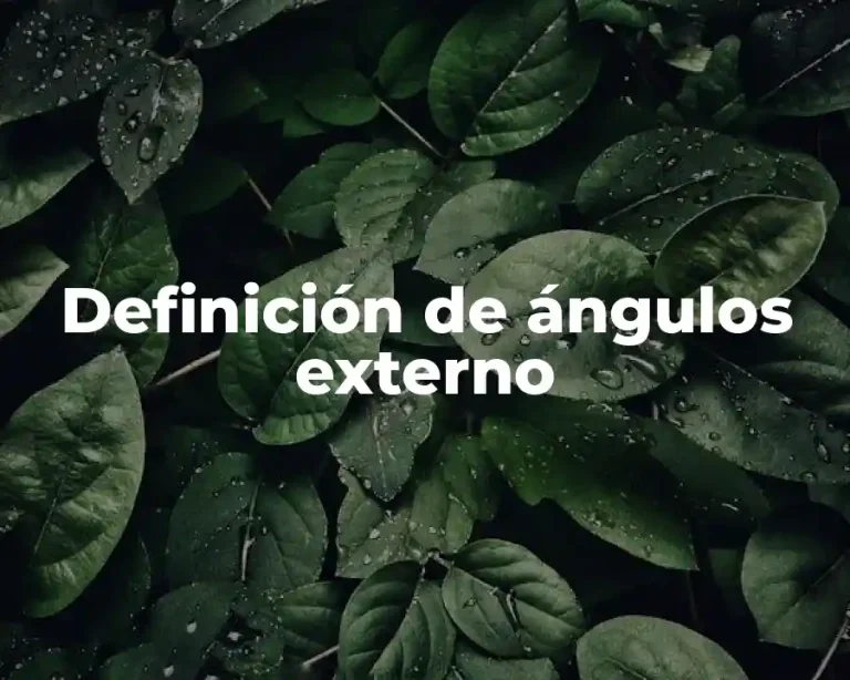 Definición de ángulos externo