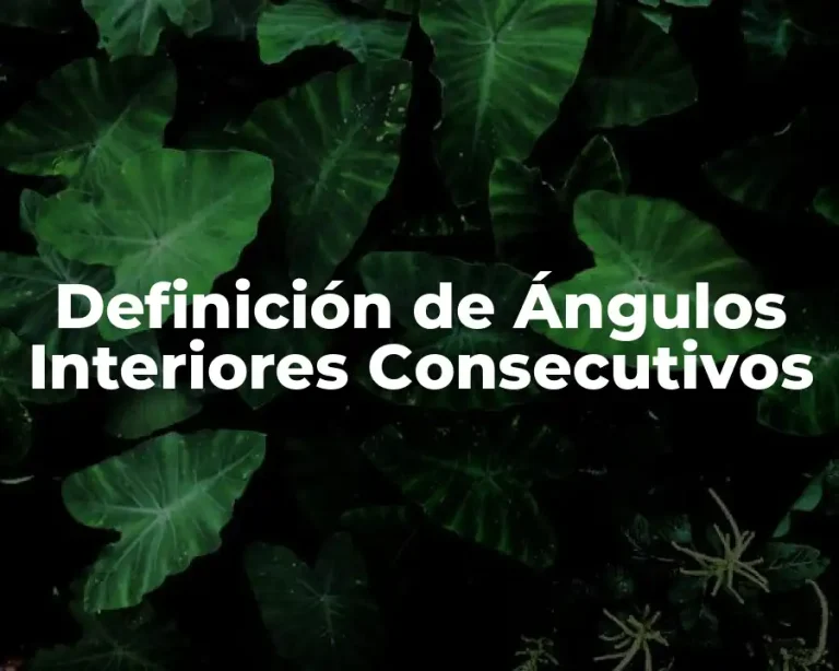 Definición de Ángulos Interiores Consecutivos
