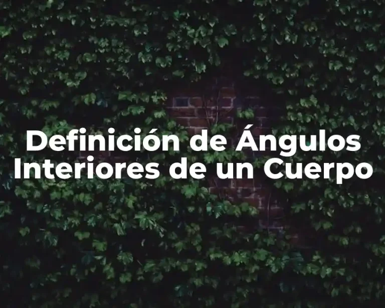 Definición de Ángulos Interiores de un Cuerpo