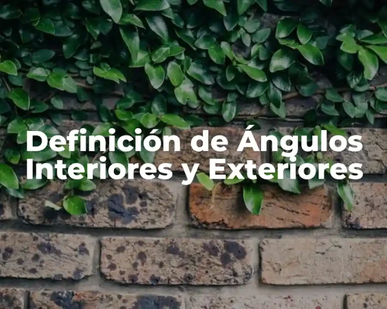 Definición de Ángulos Interiores y Exteriores