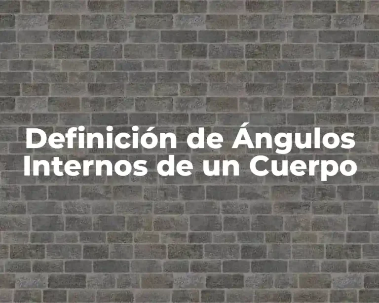Definición de Ángulos Internos de un Cuerpo