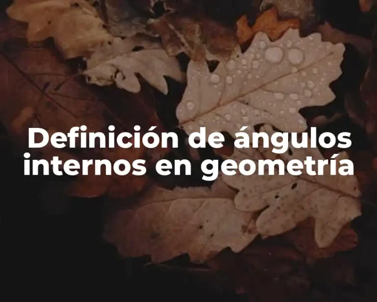 Definición de ángulos internos en geometría